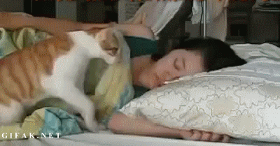 ตื่นเช้าไม่ไหว? เหตุผลดีๆ ว่าทำไมคุณควรจะเป็น Morning Person - ภาพประกอบที่ 1