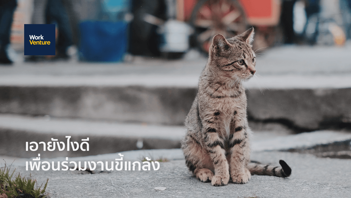 เจอเพื่อนขี้แกล้ง...เอาคืนยังไงดี
