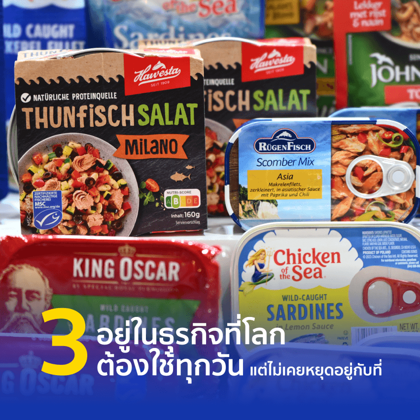 เมื่อการเติบโตไม่ได้หยุดอยู่แค่ประเทศเดียว ส่อง 6 โอกาสที่ Thai Union ดันให้คนทำงานไปได้ไกลกว่าเดิม - 2. ทำงานกับทีมทั่วโลก แบบที่ไม่ได้รู้สึกว่าไกลตัว