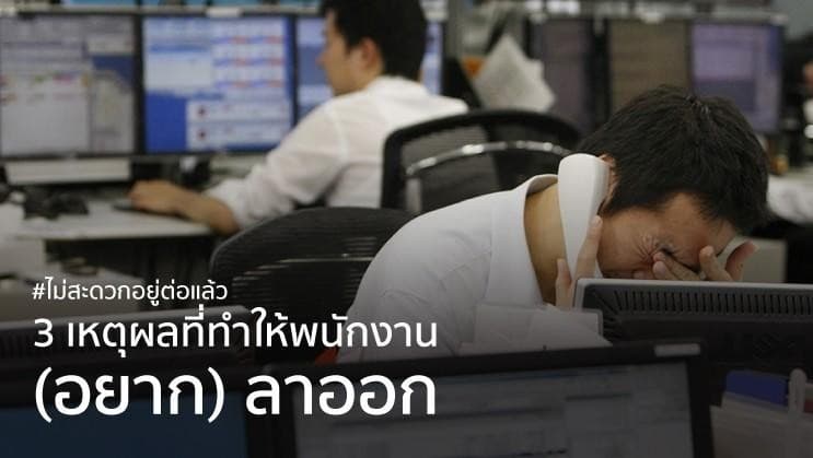 สวัสดิการ เพื่อนร่วมงาน เจ้านาย | 3 ปัจจัยหลัก ที่ทำให้พนักงานลาออก