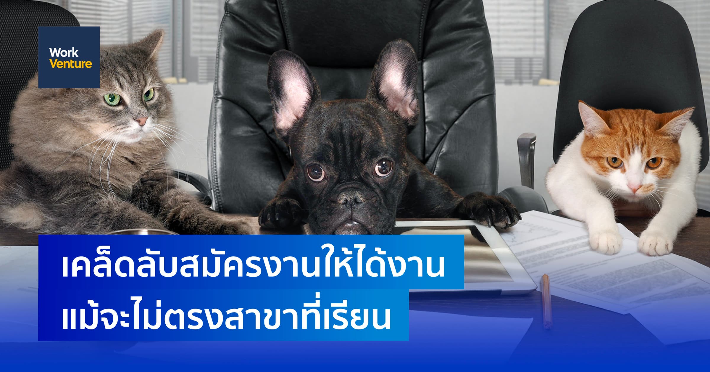 เคล็ดลับสมัครงานให้ได้งาน แม้จะเรียนไม่ตรงสาขา